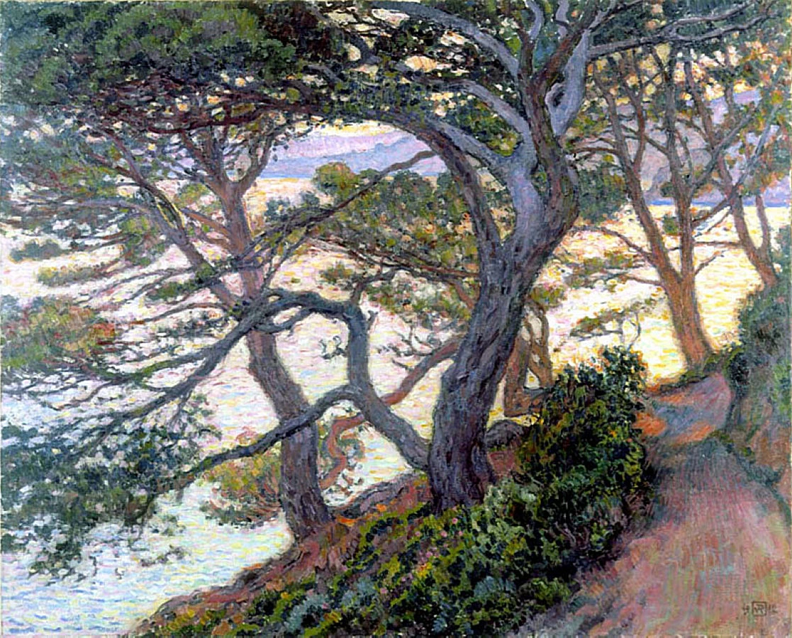 Pini di Rayol, 1912